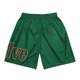 Top Twleve Mesh Shorts Pink n GReen light
