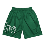 Pink n green Unisex mesh shorts