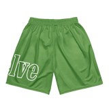 Pink n green Unisex mesh shorts