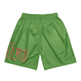 Top Twleve Mesh Shorts Pink n GReen light